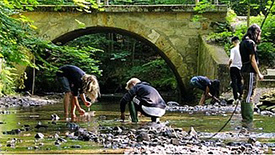 Biodiversity Change & Citizen Science